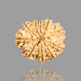 10 Mukhi